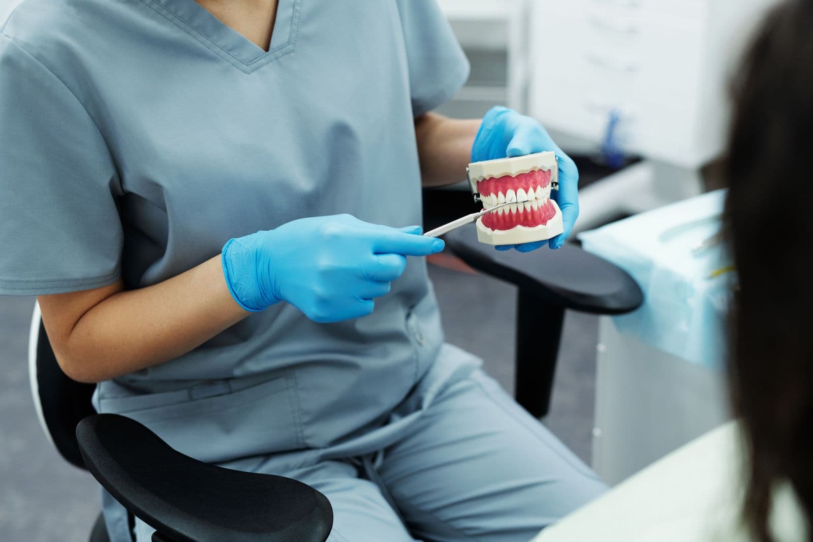 Concept photograph of a dental education model. Not a Haven patient case.